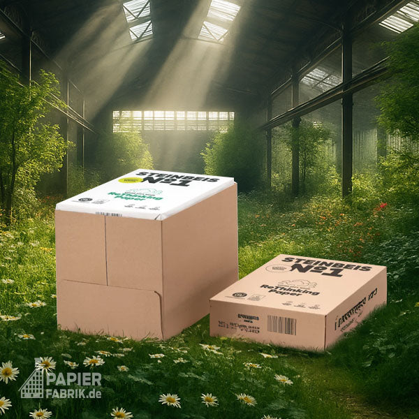 STEINBEIS No.1 Classic White Recyclingpapier – weitere Produktansicht