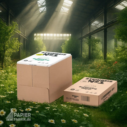 STEINBEIS No.1 Classic White Recyclingpapier – weitere Produktansicht
