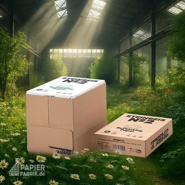 STEINBEIS No.2 Trend White Recyclingpapier – weitere Produktansicht