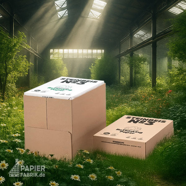 STEINBEIS No.3 Pure White Recyclingpapier – weitere Produktansicht